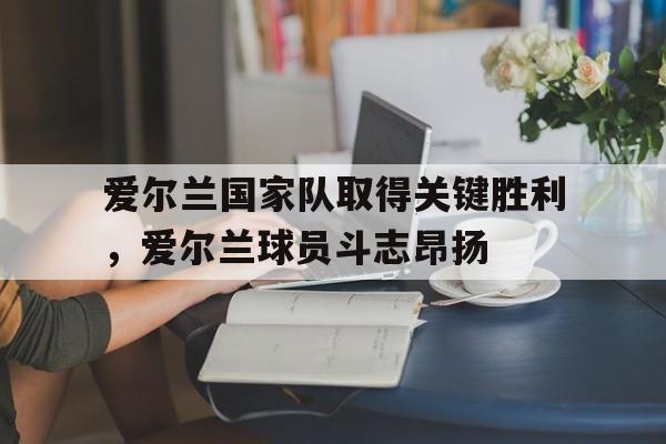 包含爱尔兰国家队取得关键胜利，爱尔兰球员斗志昂扬的词条